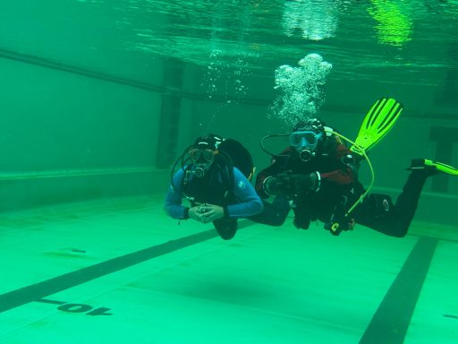 Zwei Taucher unter Wasser in einem Schwimmbecken, umgeben von grünem Wasser.