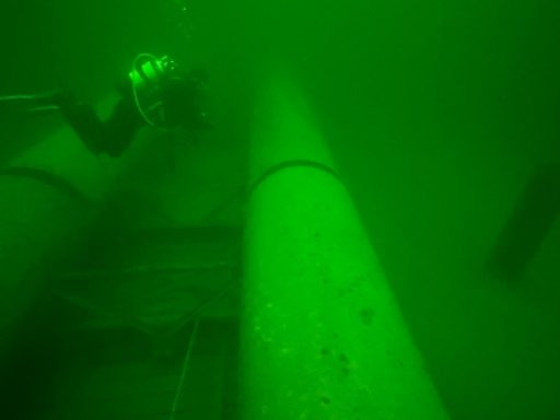 Taucher in grünem Wasser neben großen, zylindrischen Rohren.